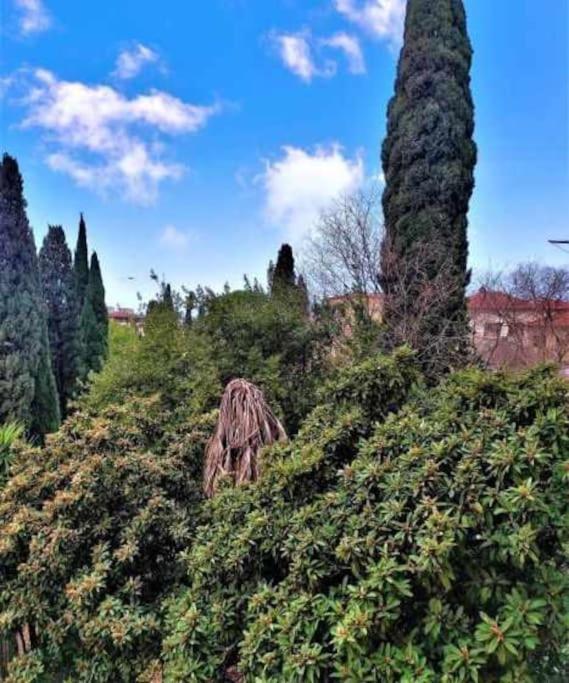 Casa Raffaello Careggi Apartment Florenţa Exterior foto